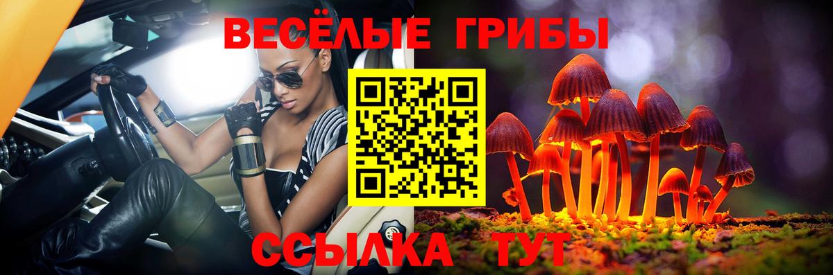 Галлюциногенные грибы мицелий  Вход с VPN  Еманжелинск 